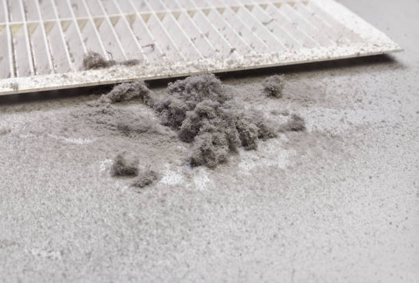 Best Professional Duct Cleaning Services  in Kingston, IL