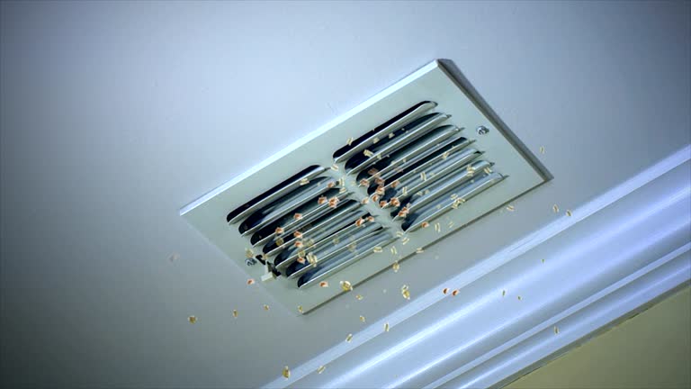 Best Best Air Duct Cleaning Company  in Kingston, IL