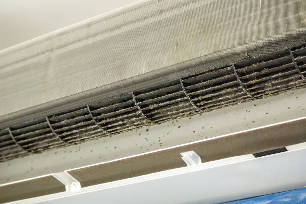 Best HVAC Air Duct Cleaning  in Kingston, IL