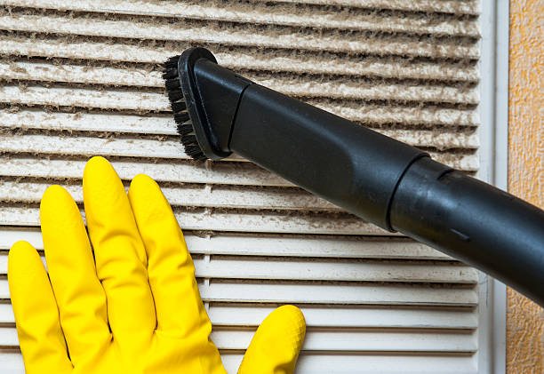 Best Dryer Vent Cleaning Services  in Kingston, IL